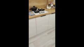 Cat sleeps on fridge in Belarus