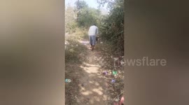 Locals rescue stray dog with head stuck in plastic box