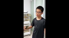 Boy's tooth removed by parrot in unusual dental assist in China