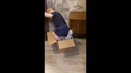 Toddler tries to share box with cat, gets lightly bitten in St. Petersburg, Russia