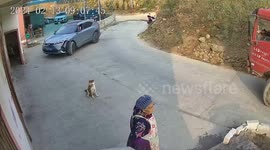 Person runs over dog in Sichuan, China