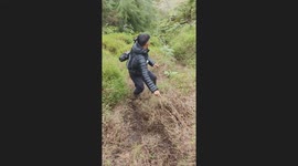 Hiker slips and falls into bushes on slope in Gunung Pakuwaja, Central Java, Indonesia