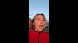 Turkeys respond to person's noises in Portsmouth, New Hampshire