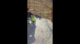 Child falls while riding toy in Hebei, China