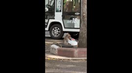 Monkey drinks Coca-Cola at Pattaya Zoo, Thailand