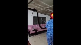 Python crashes through family's living room ceiling