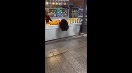 Monkey steals food from vendor and enjoys snack in Sichuan, China