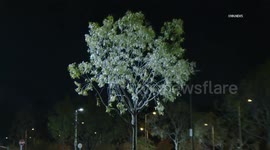 US, Los Angeles: Mission Hills Wind