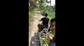 Tri-cycle rider loses control in Ben Tre, Vietnam
