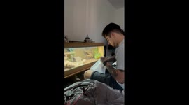 Funny fail while feeding a bearded dragon in bury Saint Edmunds, UK