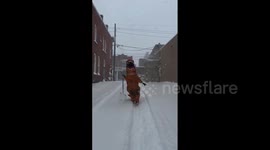 US: T-Rex Enjoys Heavy Lake Effect Snow Over Thanksgiving Weekend