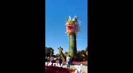 A glimpse into 188-m-long dragon-shaped chrysanthemum sculpture