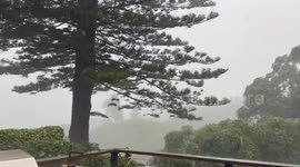 Sydney Airport chaos as flights are DELAYED after massive storm wreaks havoc
