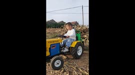 Toddler helps family harvesting crops with his toy tractor