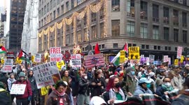 US: International Day of Solidarity with the Palestinian People in New York City