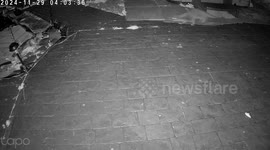 Locals in UK town that were 'terrorised by fish-eating otters' say they've returned