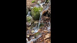 Water flows through old log after Spring time New England rain storm