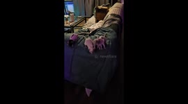Excited pet rat jumps to owner from couch in Groningen, Netherlands