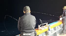 Huge shark leaps onto fisherman's boat in South Korea