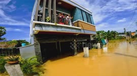 Thailand floods resue teams deliver food to stranded residents as death toll reaches 22