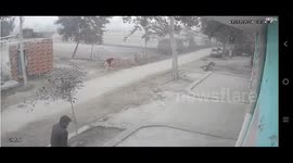 India: A bull threw a woman walking on the road in the air