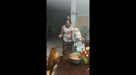 Rescue dog celebrates first birthday with puppy cake and friends