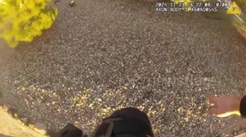 Cop commandeers kid's bike to chase suspect in Colorado