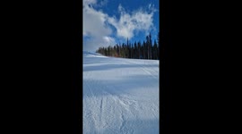 Buck Runs Down Ski Slope