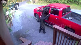 Black Bear Raids Unlocked Truck
