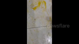 China: This Kid Clearly Has Problems with Eggs