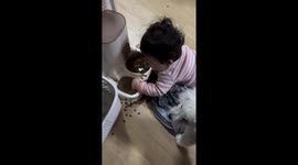 Child plays with dog food in South Korea