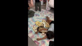 Snakes interact with daughter on rug in Fort Lauderdale, Florida
