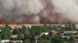 Wildfire races towards homes in Santiago, Chile