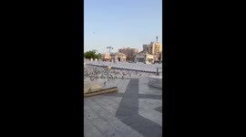 Cat chases and catches dove in Madinah, Saudi Arabia