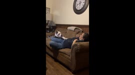 Dog playfully fights back while getting scolded in North Carolina