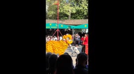 Lion dancer interacts with baby girl in China