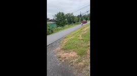 Motorcycle rider chases car to save cat sitting on roof