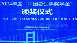 71 Turkish students awarded scholarships for Chinese language proficiency