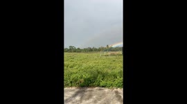 Woman finds the end of the rainbow in her back garden... but there's no pot of gold