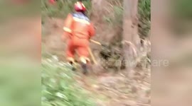 Foraging pensioner trapped in animal snare is rescued in China