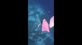 Free diver swims in bikini down to plane wreckage on seabed