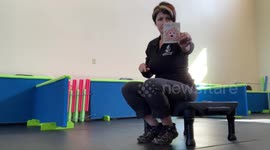 Red Heeler Reads Cue Cards