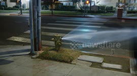 US, Los Angeles: Adams Normandie Suspect Opens Nearly A Dozen Fire Hydrants