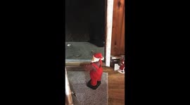 Santa Sings And Dances For Black Bear