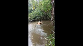 Resident uses water container to float in river and save dog