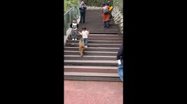 Monkey snatches snack from girl's hand