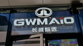 China: GWMAIO Car