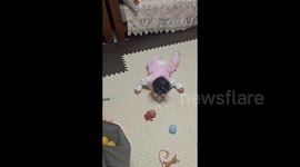 Hilarious moment 6-month-old baby adorably imitates toy turtle's movements