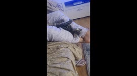 Girl gives her needy pet cat a foot massage