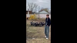 Person interacts with turkeys in Gazakh, Azerbaijan
